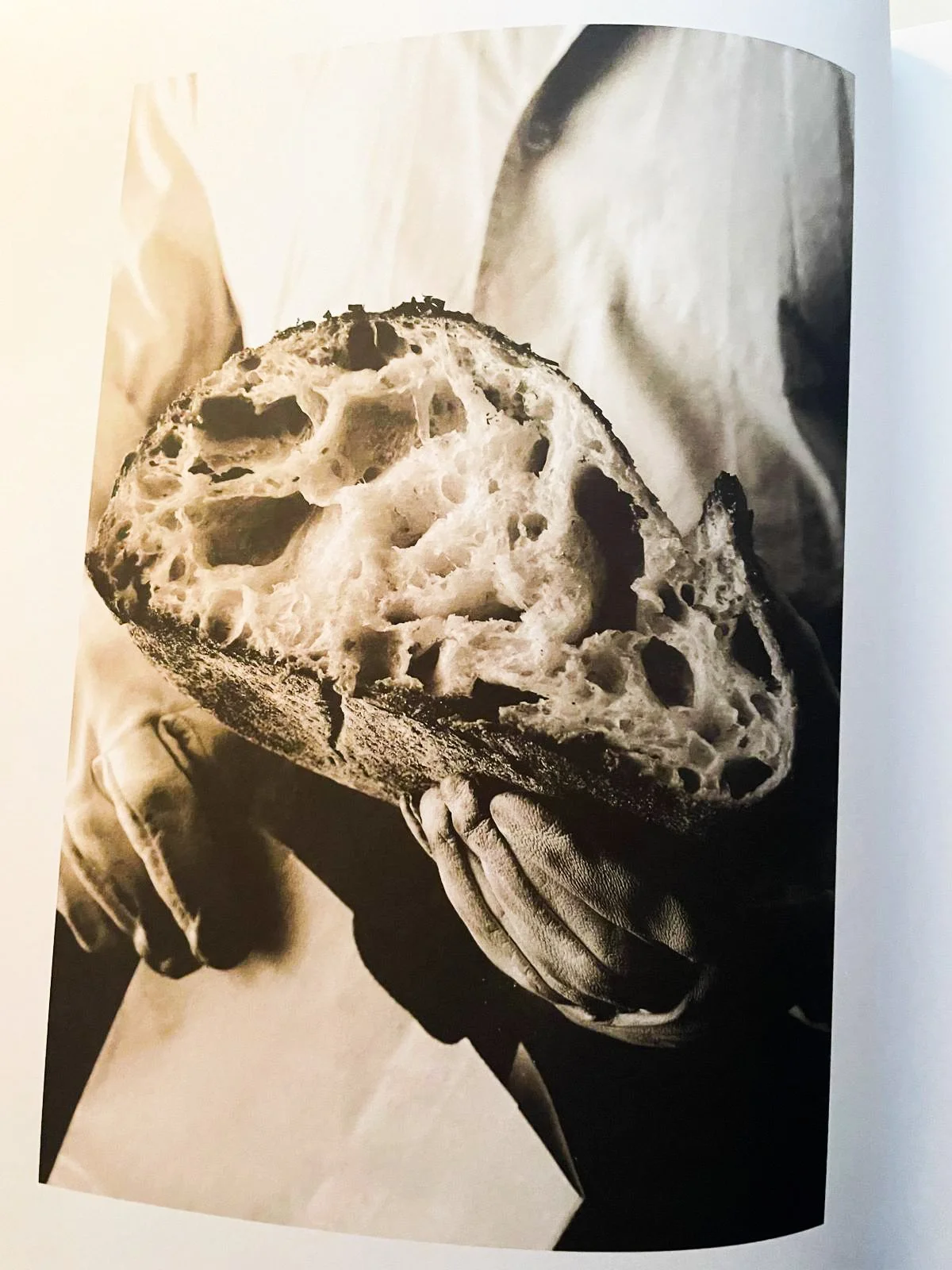 洋書 Tartine Bread by Chad Robertson Neil's cookbook of the week: Tartine Bread by Chad Robertson